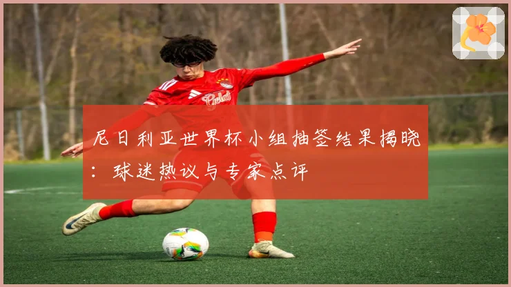 尼日利亚世界杯小组抽签结果揭晓：球迷热议与专家点评