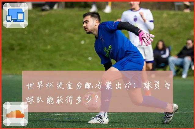 世界杯奖金分配方案出炉：球员与球队能获得多少？