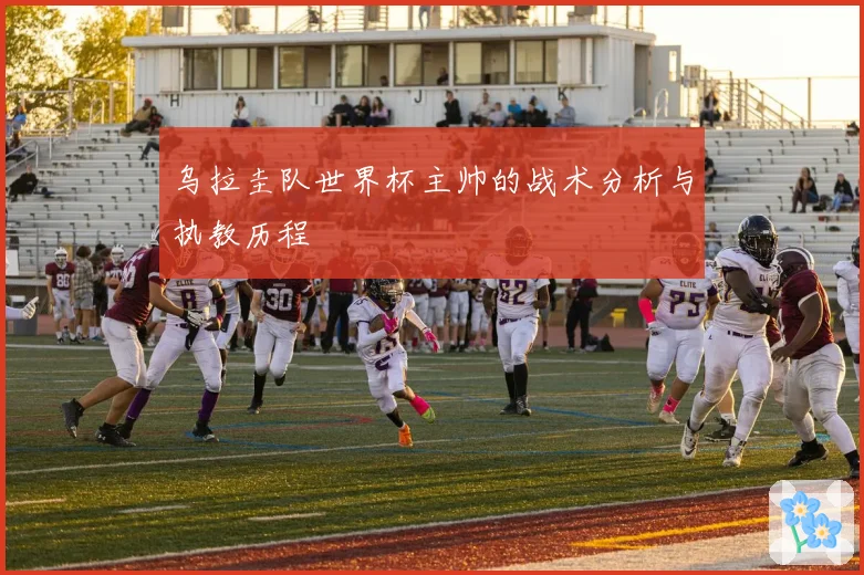乌拉圭队世界杯主帅的战术分析与执教历程