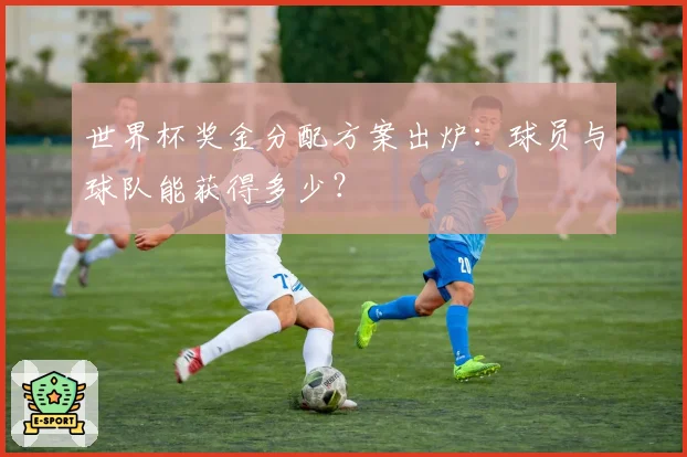 世界杯奖金分配方案出炉：球员与球队能获得多少？