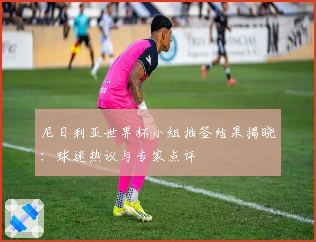 尼日利亚世界杯小组抽签结果揭晓：球迷热议与专家点评