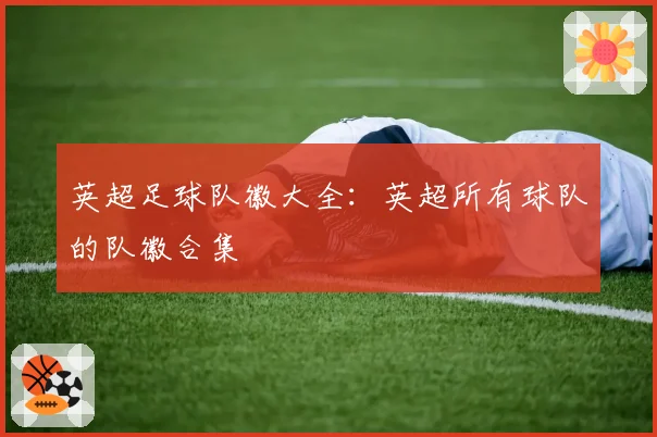 英超足球队徽大全：英超所有球队的队徽合集