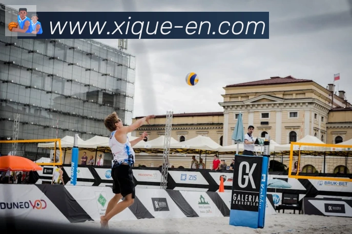 开云app服务体系