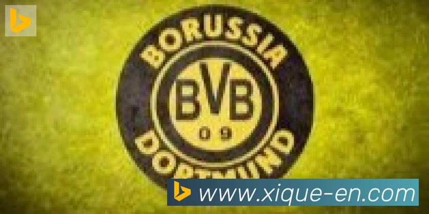 开云app合作伙伴