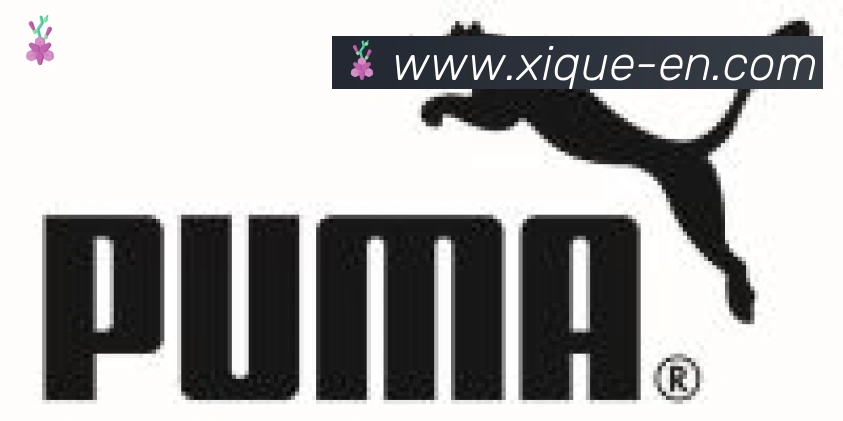 开云app合作伙伴